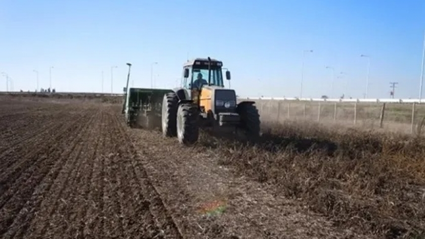 ¿La estabilidad impulsa la siembra fina? Qué dice el pronóstico para el agro para los próximos días