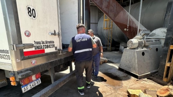 Formosa: Se evitó la comercialización de 340 kg de pescado transportados de manera irregular