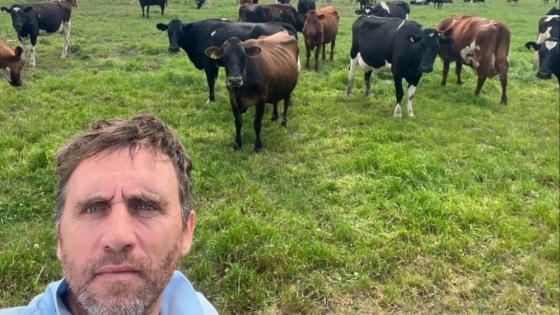La vaca no debe ser la vedette del tambo, sino una parte más del sistema