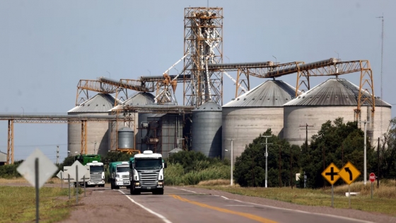 El campo argentino anticipa otra campaña récord y proyecta más de US$41.000 millones en exportaciones