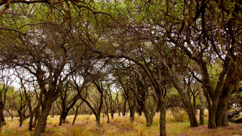 Una nueva posibilidad para el turismo de naturaleza en La Pampa