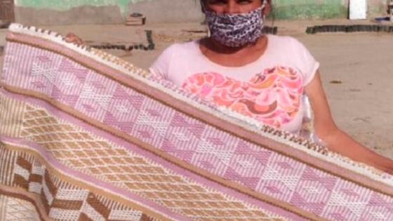 El algodón santiagueño agroecológico se suma al catálogo de fibras textiles que promueve el INTA