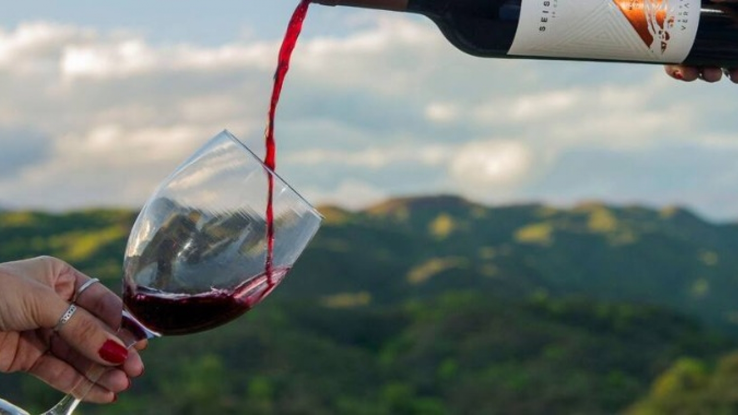 Tinogasta apuesta a la vitivinicultura de altura con vinos artesanales y valor agregado