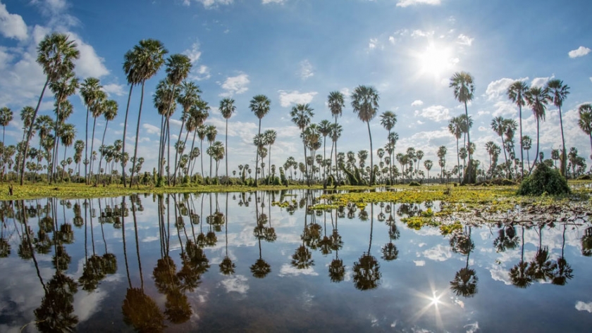 Formosa fue posicionada como destino turístico seguro