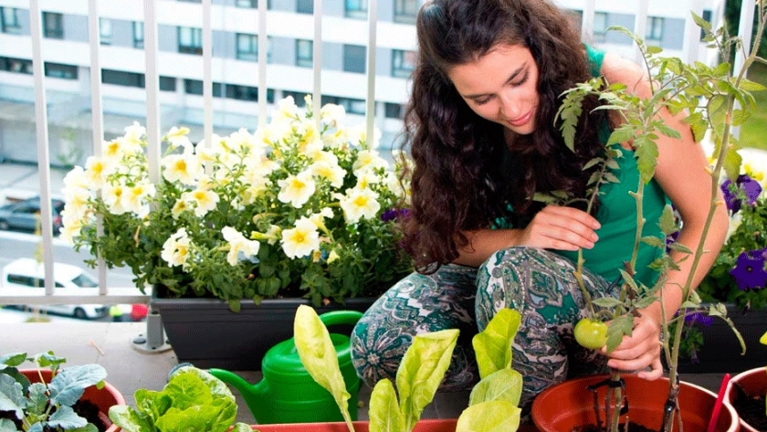 Huertas urbanas: producir en casa beneficia a la salud y al ambiente
