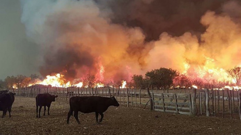 Corrientes: Aapresid se solidariza con los productores afectados por los incendios forestales