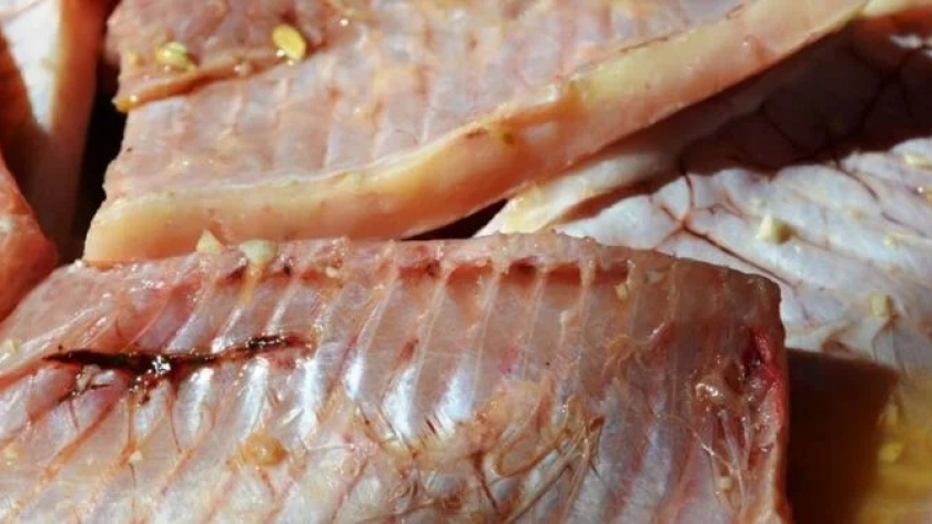 Capacitación integral para productores piscícolas