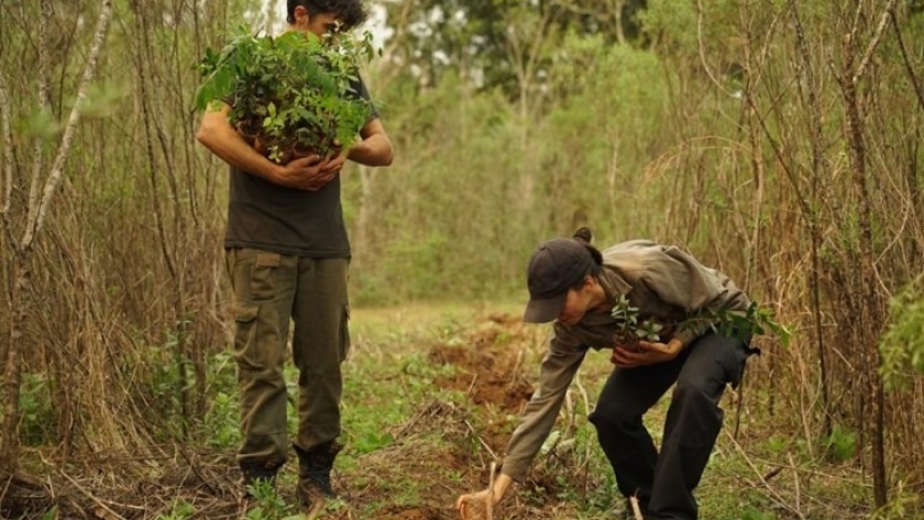 Bosques degradados - Hay más de 8 mil millones de personas en el planeta que tienen no sólo la capacidad destructora, también son restauradores en potencia
