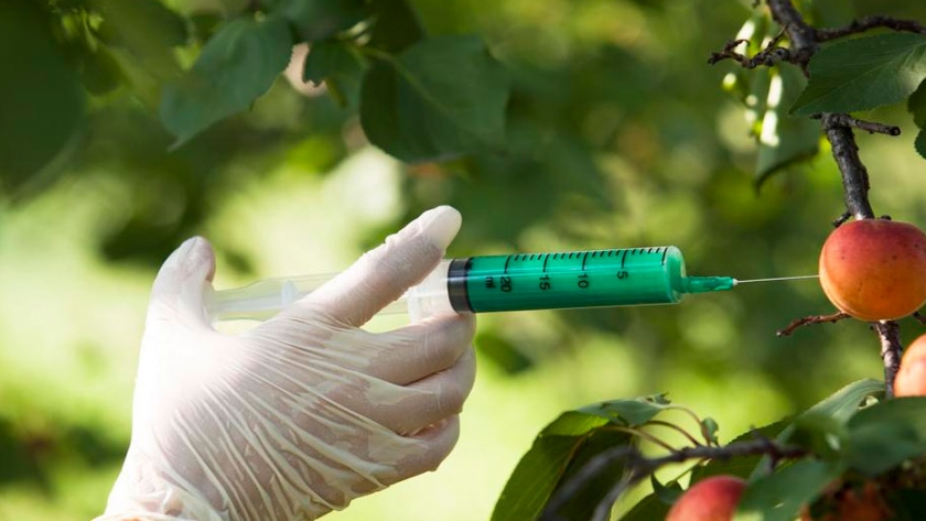 Alimentos del futuro: ¿llegamos al final del camino?