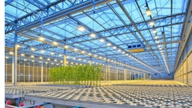 Breeding, un desarrollo de Bayer promete revolucionar la genética agrícola