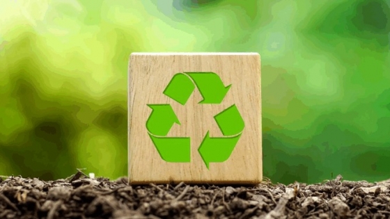 Biomasa forestal: energía limpia y sostenible que impulsa la economía en Argentina