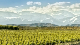 San Juan: exquisita producción vitivinícola argentina