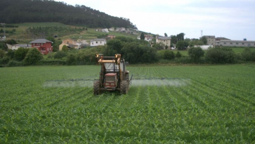 La nueva estrategia de la EPA para herbicidas: Un impacto significativo en la agricultura y la protección de especies en peligro