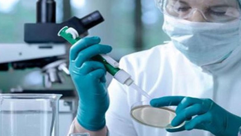 Plan de gestión red recursos genéticos microbianos