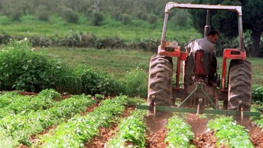 La UE dará menos dinero a los agricultores