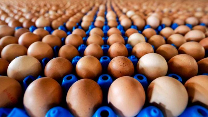 Argentina: sube un 40% el consumo domiciliario de huevo y se acerca a los 300 huevos/año
