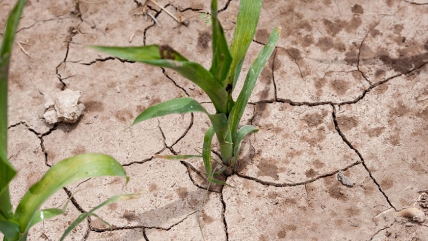 Clima: un factor de riesgo, potenciado por el cambio climático