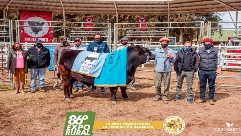 El Gran Campeón Angus se vendió a 840 mil pesos en Huinca Renancó