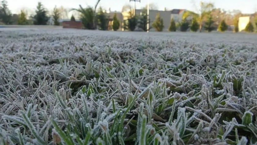 Media provincia de Buenos Aires está en alerta amarilla por bajas temperaturas