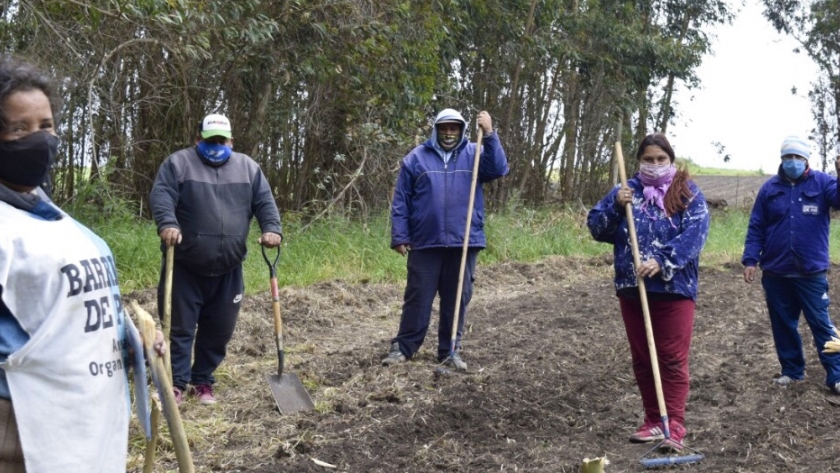 Proyecto de producción de alimentos para asistir a comedores del sur bonaerense