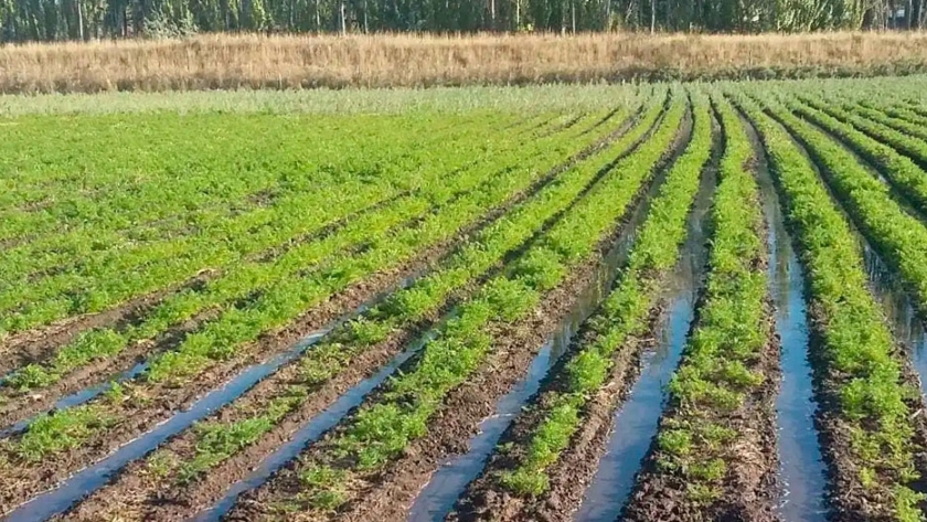 El ministerio de Agricultura, Ganadería y Pesca promueve el arraigo rural en La Rioja