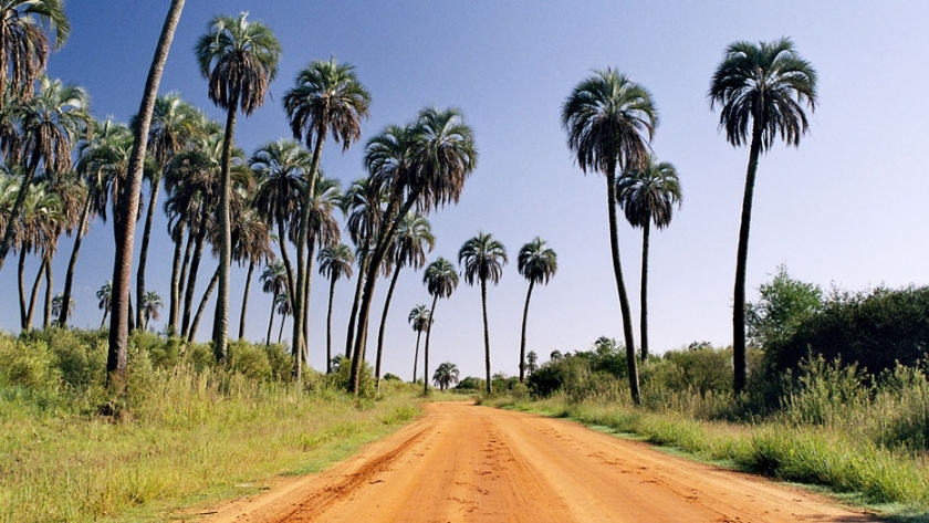 El gobierno trabaja con la Mancomunidad Tierra de Palmares en la reactivación turística de la zona