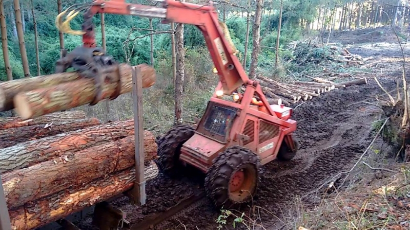 Maquinarias obsoletas, un serio problema para aserraderos de Misiones y Corrientes