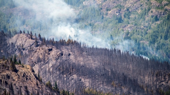 Incendio en el Parque Nahuel Huapi: 6.000 hectáreas arrasadas y esfuerzos de contención intensificados