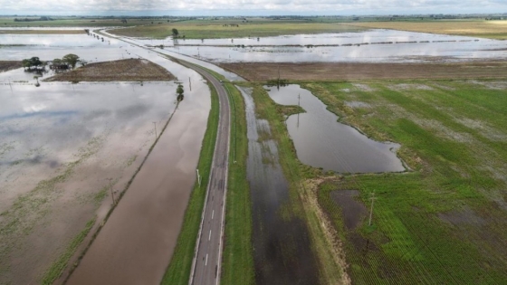 Banco Nación refuerza la asistencia crediticia para productores bonaerenses afectados por las inundaciones