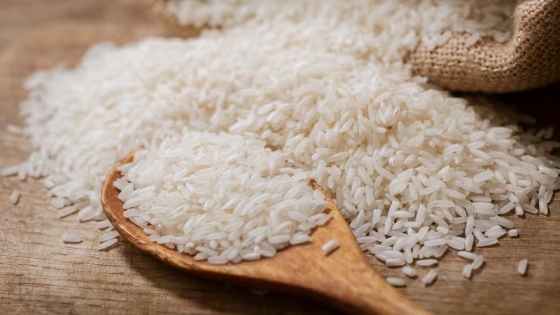 Crisis arrocera en Entre Ríos: podrían desaparecer uno de cada cinco productores