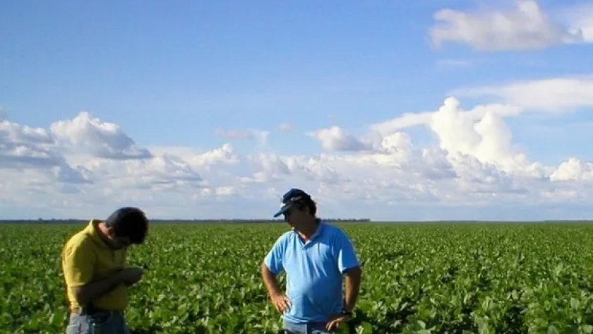 El insumo diseñado para la soja argentina que promete un retorno económico de 5 a 1: es sustentable y alcanza con 2 litros por hectárea