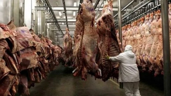 Faena bovina en retroceso: el sector ganadero produce más, pero la rentabilidad se desvanece