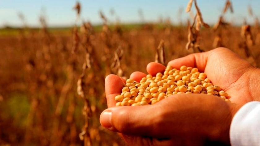 El Gobierno suspende el registro de exportaciones antes de subir las retenciones de la soja a 33% 
