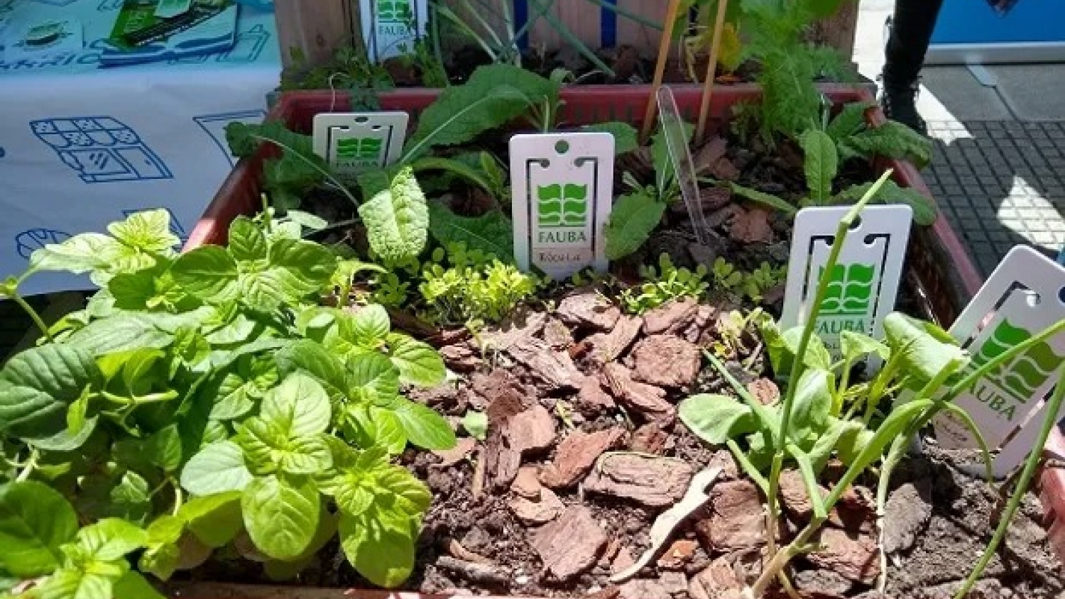 Catamarca avanza en la certificación orgánica con nuevos emprendimientos locales