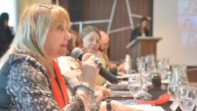 Chubut participó de la III sesión del Consejo Federal de las Mujeres, Géneros y Diversidad en Salta
