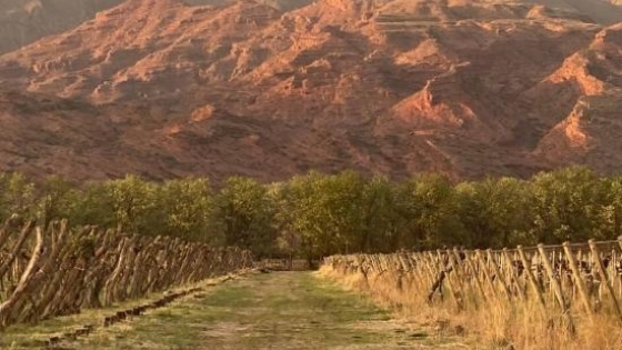 Santa María impulsa nuevas herramientas para ampliar la llegada de sus productos regionales
