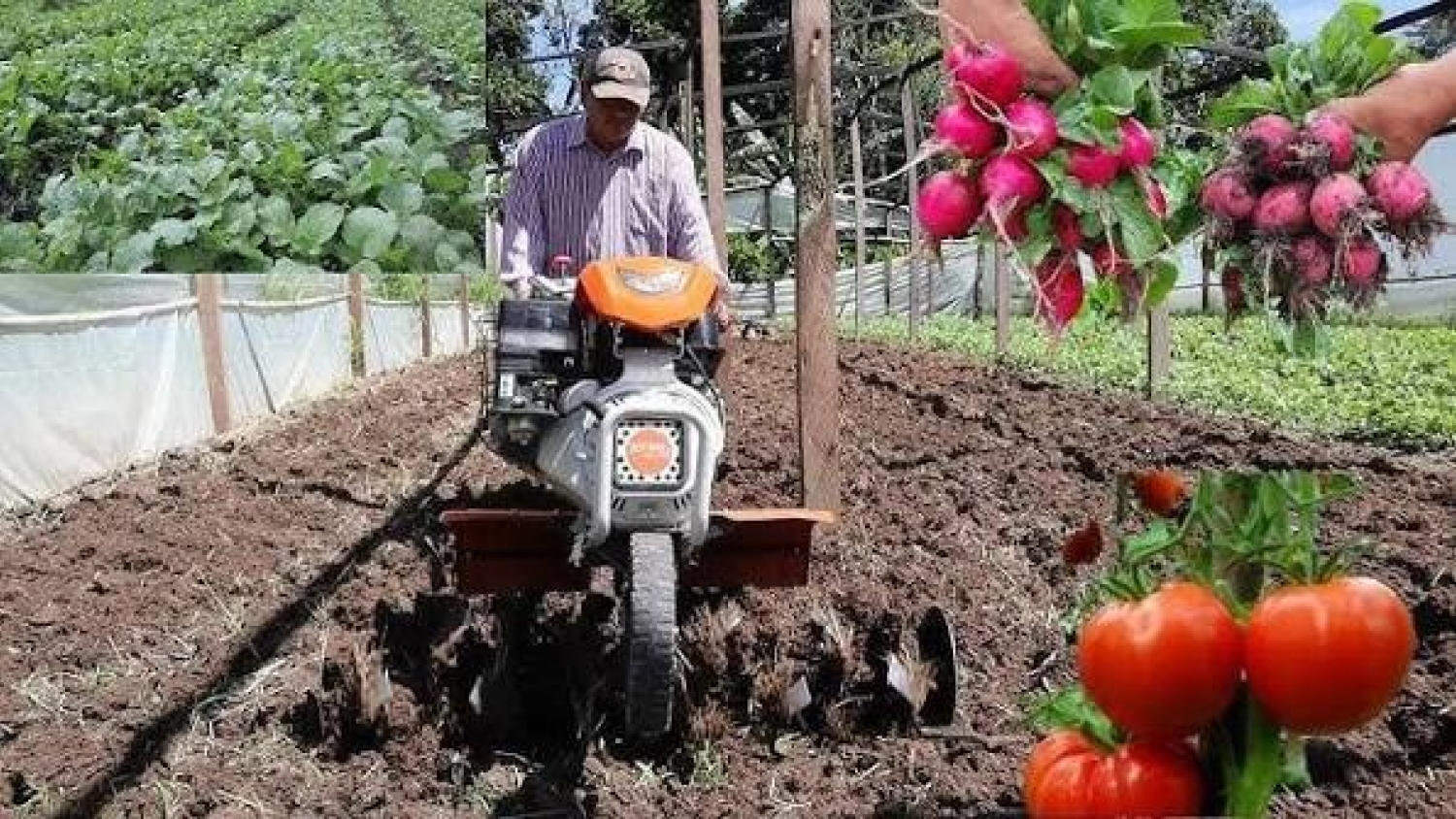 Agro en Laguna Blanca: tecnología para PyMEs