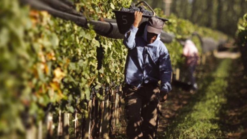 Alegría a medias: bono de $10.000 para los trabajadores rurales 