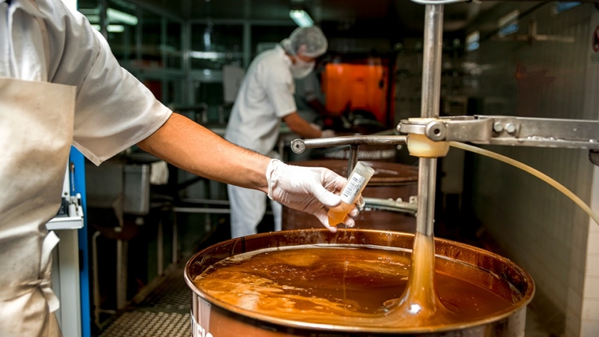 Entre Ríos se consolida como la segunda provincia productora de miel a nivel nacional