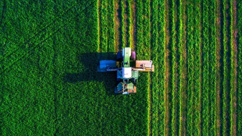 El sector agrícola planta la semilla de la digitalización
