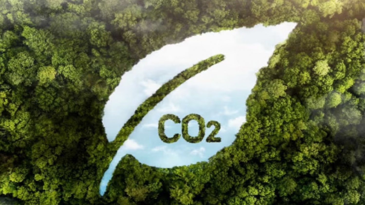 Latinoamérica apuesta al mercado de carbono para atraer capital