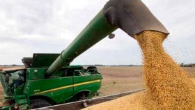 La soja superó los $ 25.000 en Rosario: en tres meses, subió 50%
