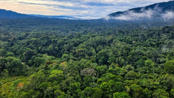 Turismo sostenible en Costa Rica: entre el modelo ejemplar y los riesgos de la masificación