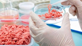 Investigadores canadienses afirman crear más productos cultivados en laboratorio parecidos a la carne