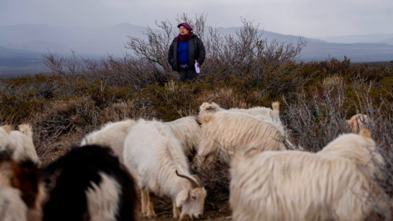Mujeres rurales de toda la provincia se reúnen en San Martín de los Andes
