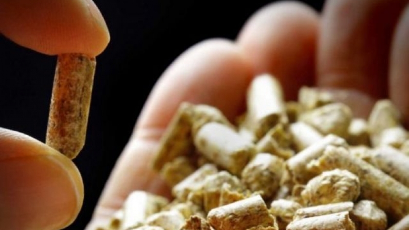 Una biorrefinería en el NOA