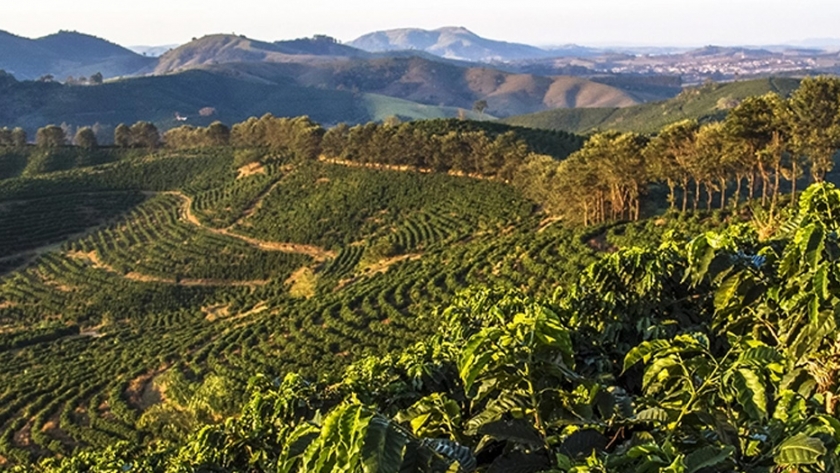El enfoque de la biodiversidad y la tecnología de Brasil impulsará el comercio con el Reino Unido