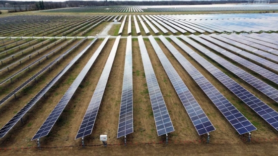 Expansión solar en tierras agrícolas de EE.UU. beneficios económicos y riesgos ambientales