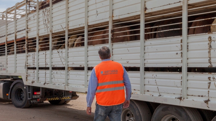 Crece la autogestión del documento para trasladar animales y vegetales