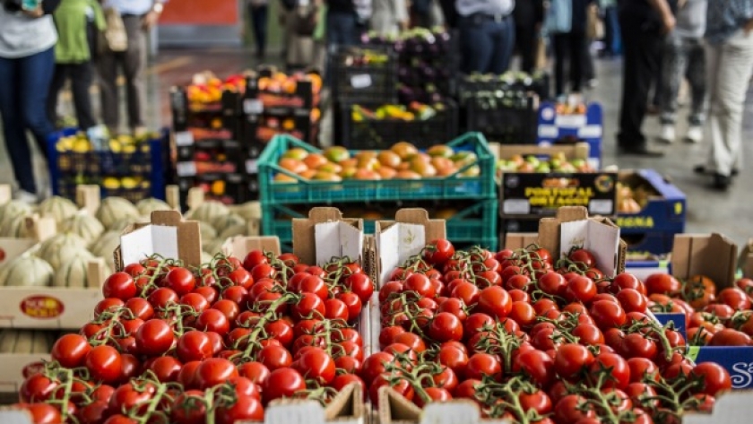 Informe científico subraya requerimiento de transformación alimentaria